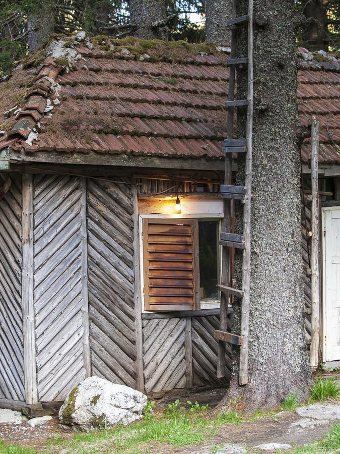 파니치슈테 Lovna Hut 빌라 외부 사진